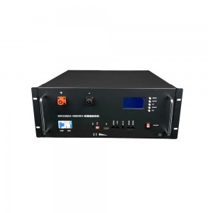 UPS Server Rack Mounted Lithium Ion Battery Charger